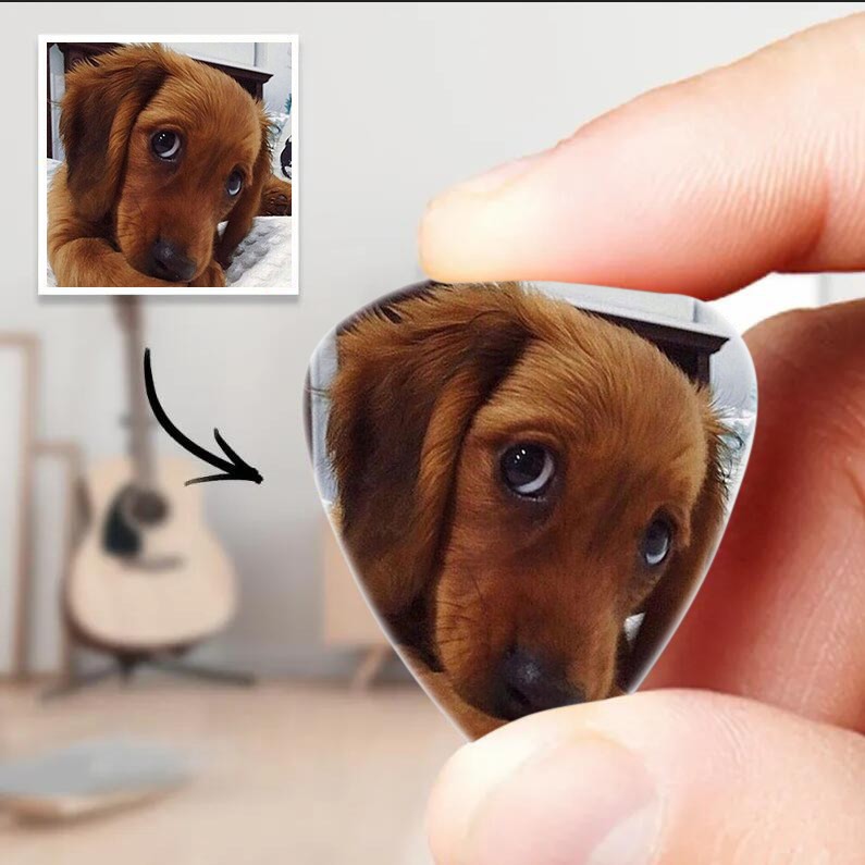Personalisiertes Plektrum mit Foto für Hunde