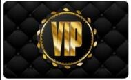 VIP-Service