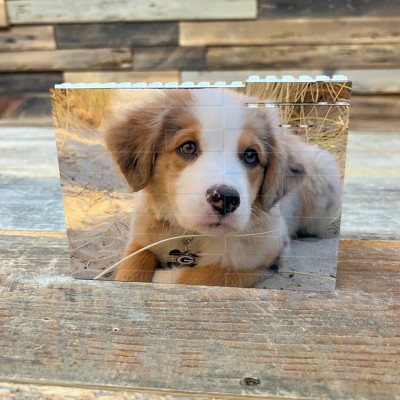 Personalisierte Haustier Foto Block Puzzle Baustein Andenken Geschenkideen